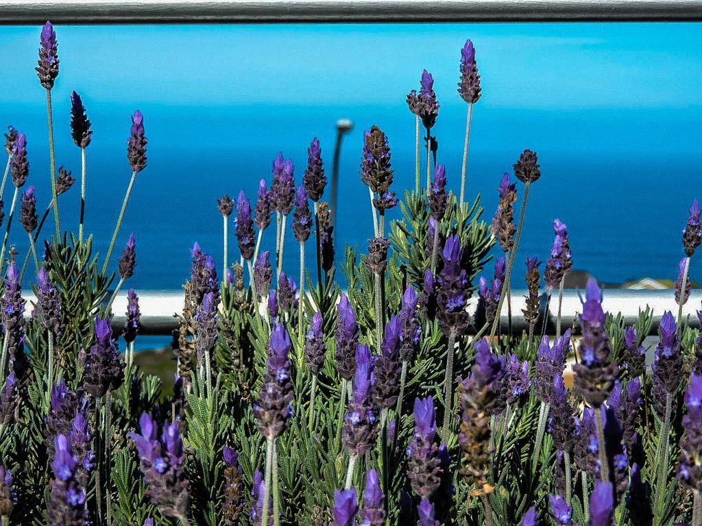 Amzee Bokmakierie Guest House Dana Bay Εξωτερικό φωτογραφία